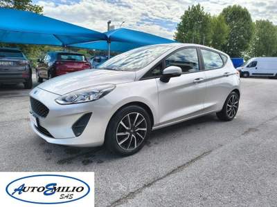 Ford Fiesta 1.1 75 CV GPL 5 porte Business Grigio usata Alonte