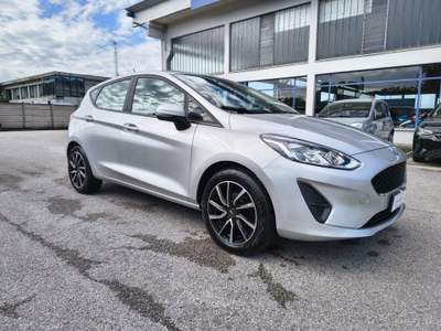 Ford Fiesta 1.1 75 CV GPL 5 porte Business Grigio usata Alonte