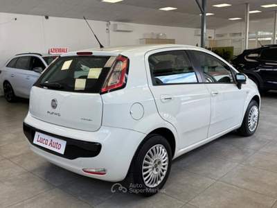 Fiat Punto Evo 1.2 69CV 5p. S&S *OCCASIONE* Bianco usata Cologno Monzese