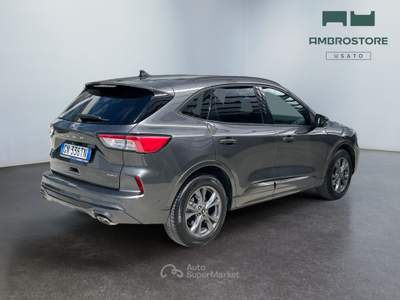 Ford Kuga  - kuga 2.5 full hybrid st-line awd 190cv cvt Grigio usata Segrate