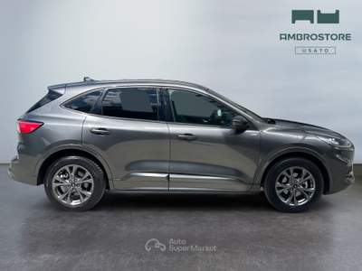 Ford Kuga  - kuga 2.5 full hybrid st-line awd 190cv cvt Grigio usata Segrate