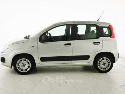 Fiat Panda 1.3 MJT 95 CV S&S Easy Argento usata Crema
