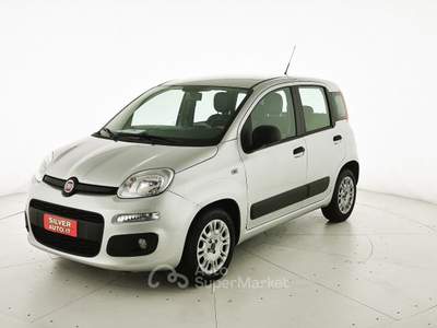 Fiat Panda 1.3 MJT 95 CV S&S Easy Argento usata Crema