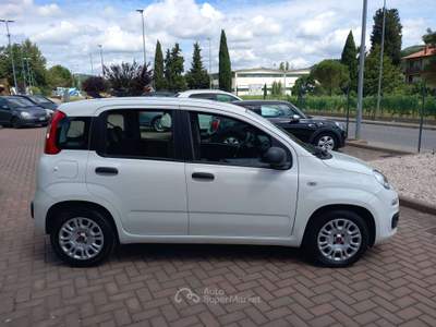 Fiat Panda Panda 1.0 Firefly Hybrid PREZZO REALE!!!!!! Bianco usata Corciano