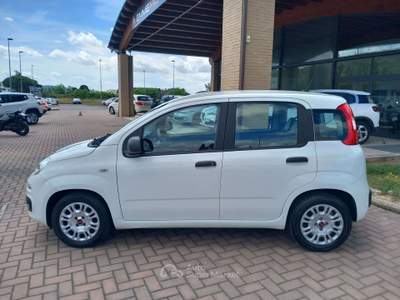 Fiat Panda Panda 1.0 Firefly Hybrid PREZZO REALE!!!!!! Bianco usata Corciano
