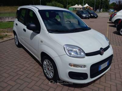 Fiat Panda Panda 1.0 Firefly Hybrid PREZZO REALE!!!!!! Bianco usata Corciano