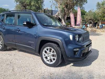 Jeep Renegade Renegade 2019 1.5 turbo t4 mhev Limited 2wd 130cv Grigio usata Ladispoli