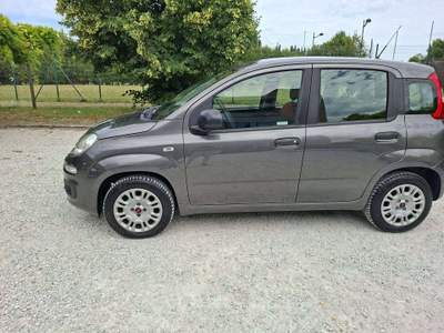 Fiat Panda Panda III 2016 1.2 Easy 69cv Grigio usata Rimini
