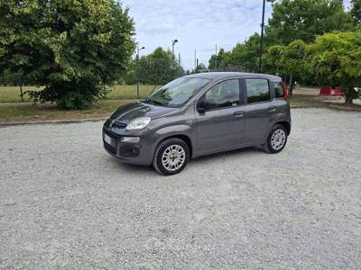 Fiat Panda Panda III 2016 1.2 Easy 69cv Grigio usata Rimini