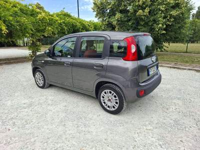 Fiat Panda Panda III 2016 1.2 Easy 69cv Grigio usata Rimini