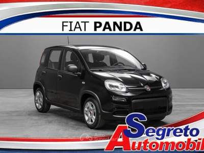 Fiat Pandina Pandina 1.0 FireFly 65 CV Hybrid Pop usata Cambiago