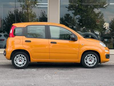 Fiat Panda FireFly S&S Hybrid usata Paese
