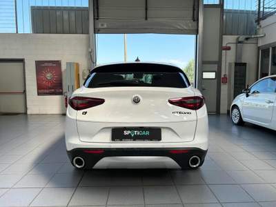 Alfa Romeo Stelvio 2.0 Turbo 200 CV AT8 Q4 Business Bianco usata Vercelli