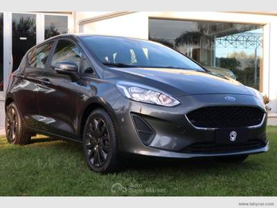 Ford Fiesta Fiesta 1.5 TDCi 5p. Plus Grigio usata San Michele Salentino