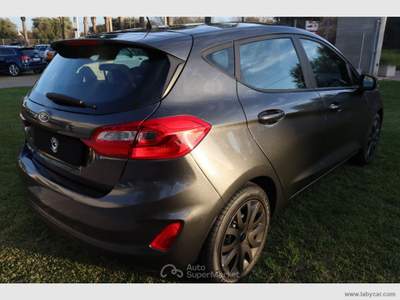Ford Fiesta Fiesta 1.5 TDCi 5p. Plus Grigio usata San Michele Salentino