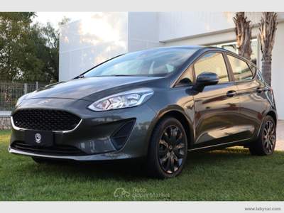 Ford Fiesta Fiesta 1.5 TDCi 5p. Plus Grigio usata San Michele Salentino