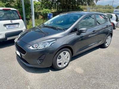 Ford Fiesta Condizioni pari al nuovo Grigio usata Lamezia Terme