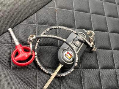 Abarth 595 1.4 Turbo T-Jet 165 CV Turismo Grigio usata Roma