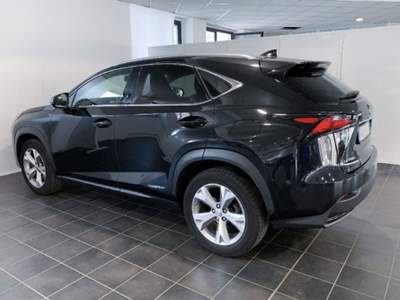 Lexus NX Hybrid 4WD Luxury Bianco usata Torino