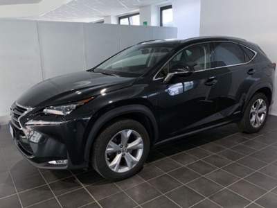 Lexus NX Hybrid 4WD Luxury Bianco usata Torino