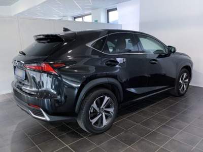 Lexus NX Hybrid 4WD Luxury Argento usata Torino