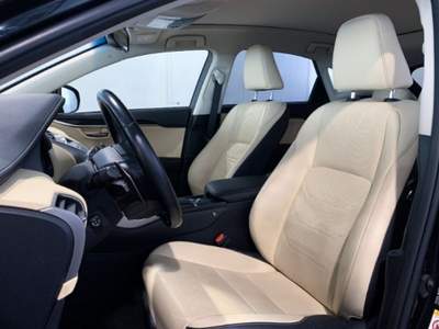 Lexus NX Hybrid 4WD Luxury Argento usata Torino