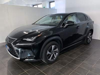 Lexus NX Hybrid 4WD Luxury Argento usata Torino