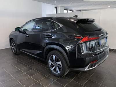 Lexus NX Hybrid 4WD Luxury Argento usata Torino