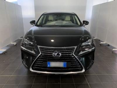 Lexus NX Hybrid 4WD Luxury Argento usata Torino