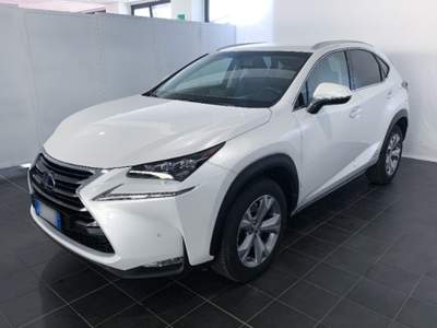 Lexus NX Hybrid 4WD Luxury Bianco usata Torino