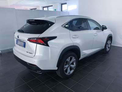 Lexus NX Hybrid 4WD Luxury Bianco usata Torino