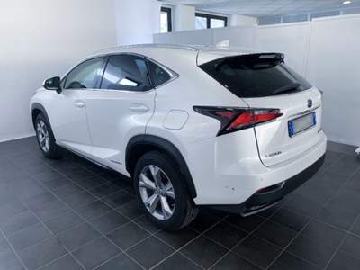 Lexus NX Hybrid 4WD Luxury Bianco usata Torino