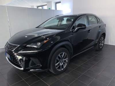 Lexus NX Hybrid 4WD Business Bianco usata Torino