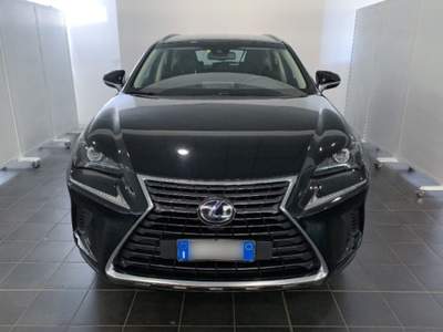 Lexus NX Hybrid 4WD Business Bianco usata Torino