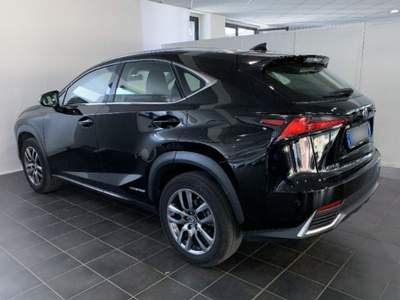 Lexus NX Hybrid 4WD Business Bianco usata Torino