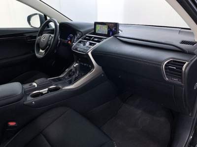 Lexus NX Hybrid 4WD Business Bianco usata Torino