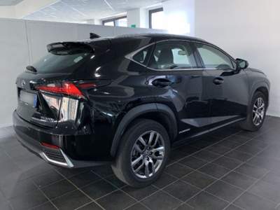 Lexus NX Hybrid 4WD Business Bianco usata Torino