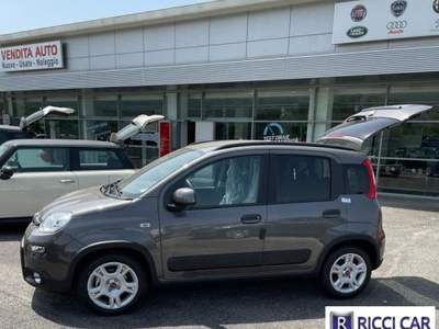 Fiat Panda 1.0 FireFly S&S Hybrid Grigio usata Cassino