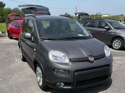 Fiat Panda 1.0 FireFly S&S Hybrid Grigio usata Cassino