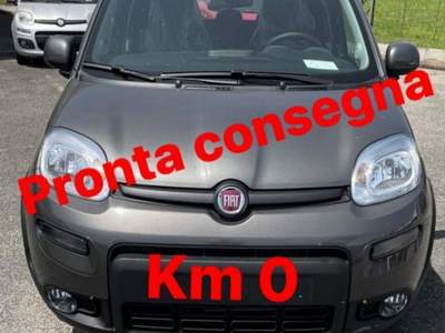 Fiat Panda 1.0 FireFly S&S Hybrid Grigio usata Cassino