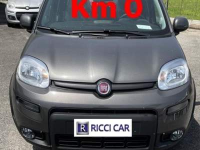 Fiat Panda 1.0 FireFly S&S Hybrid Grigio usata Cassino