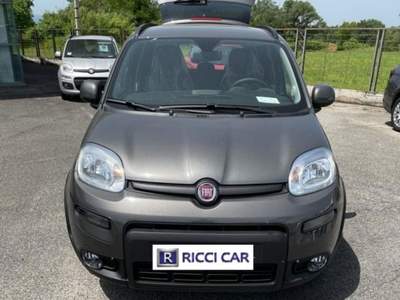 Fiat Panda 1.0 FireFly S&S Hybrid Grigio usata Cassino