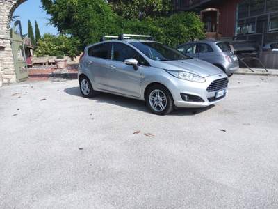 Ford Fiesta TITANIUM (A77) Grigio usata Palazzo San Gervasio