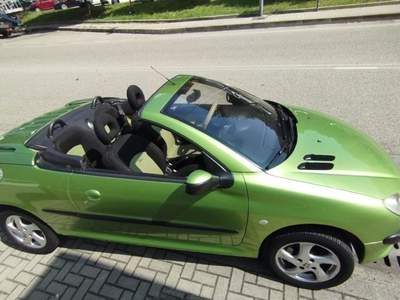 Peugeot 206 DECAPPOTTABILE (A18) Verde usata Palazzo San Gervasio