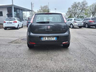 Fiat Punto Evo B/GPL (A31) Grigio usata Palazzo San Gervasio
