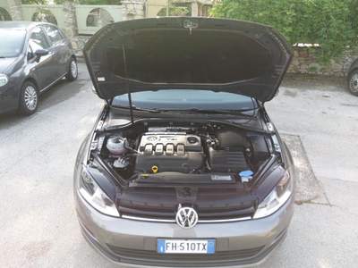 Volkswagen Golf TRENDLINE (A76) Grigio usata Palazzo San Gervasio