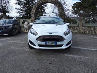 Ford Fiesta (A38) Bianco usata Palazzo San Gervasio