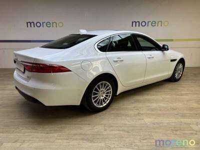 Jaguar XF 2.0d 180 CV Pure Bianco usata Faenza