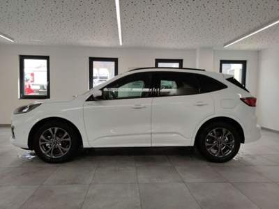Ford Kuga 1.5 EcoBoost 150 CV 2WD ST-Line Bianco usata Castelnuovo Rangone