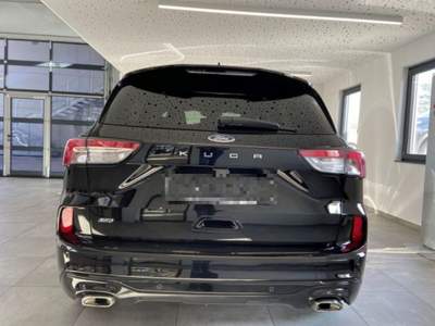 Ford Kuga 2.0 EcoBlue 190 CV aut. AWD ST-Line Nero usata Castelnuovo Rangone